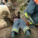 Feuerwehrfrau Mailyn kroch langsam in den Kaninchenbau und versuchte den Terrier zu greifen